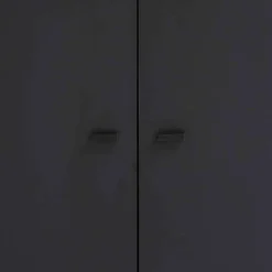 60x170x33 2-türiger Schuhschrank in Schwarz - Anderian^Wohnen Best