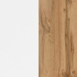 60x54x35 Unterbeckenschrank stehend oder hängend - Yazemina^Wohnen Outlet