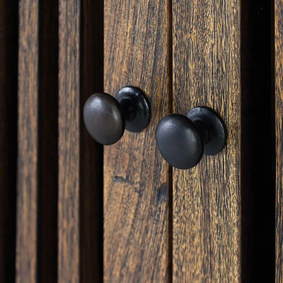 Wohnen 100x160x45 Wohnzimmerschrank mit zwei Türen - Charin